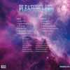 Pleasureland vinyl rear side